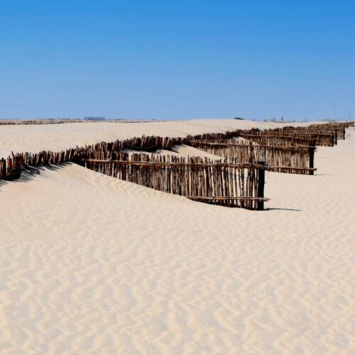 1678272497-main-photo