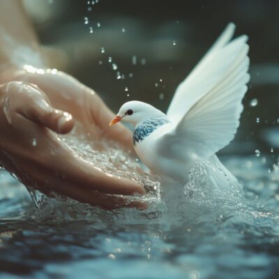 Hands gently cradle water as a dove takes flight, symbolizing peace and divine presence.